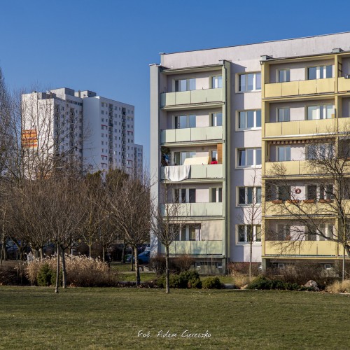 018-_MG_1831