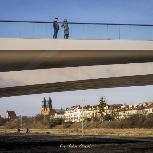 011-_MG_2817